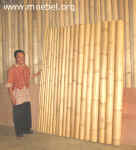 Selezione e controllo bamb