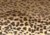 stoff-02.jpg (63582 Byte)