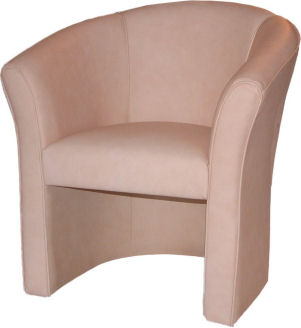 Sessel / Fauteuil mit Leder