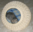 Hundebett, Katzenbett aus Rattan