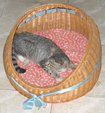 Katzen- oder Hundebett aus Rattan