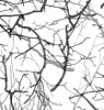 142-Traviata_01 142-Traviata_01