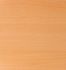 19_Beech_Light 19_Beech_Light