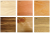 LUCK-Sitze-aus-Holz-Kino-Theater-Auditorium-Hoersaal-Holzarten