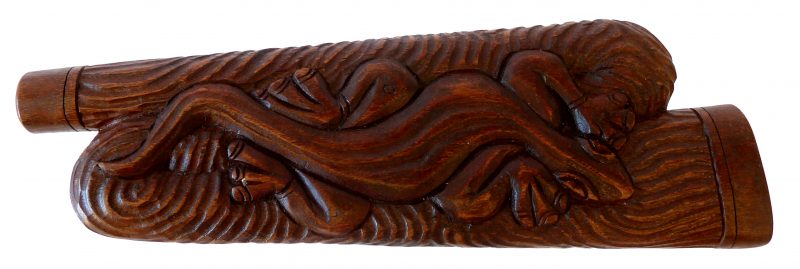 Didgeridoo aus Holz, Motiv Gecko