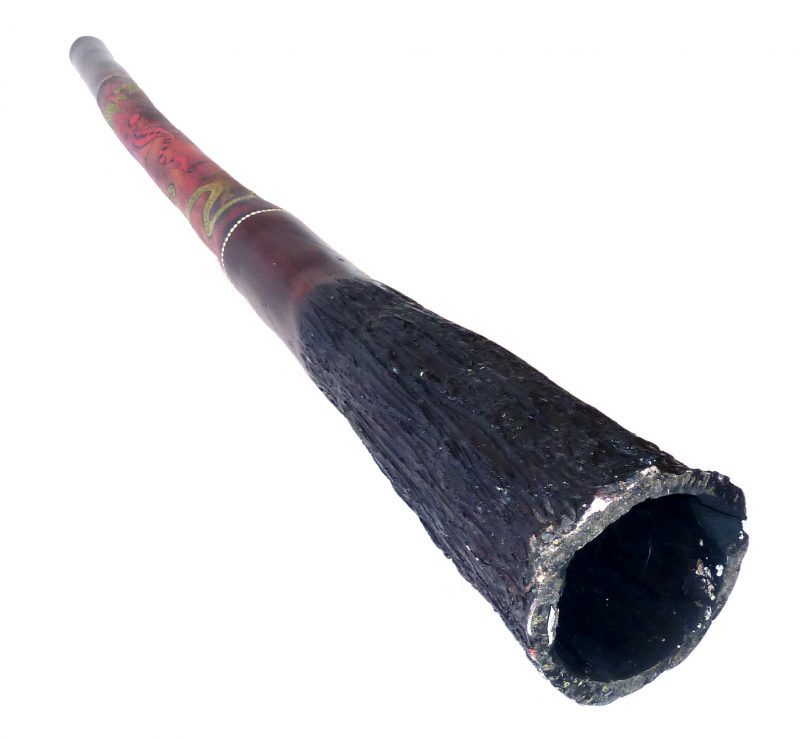 Didgeridoo mit Malerei, Tiermotiv Echse / Gecko