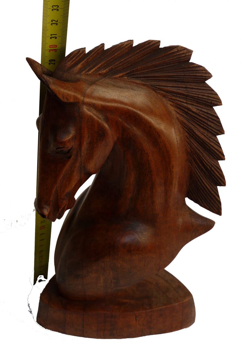 Pferd / Pferdekopf Büste 30cm, P1080895