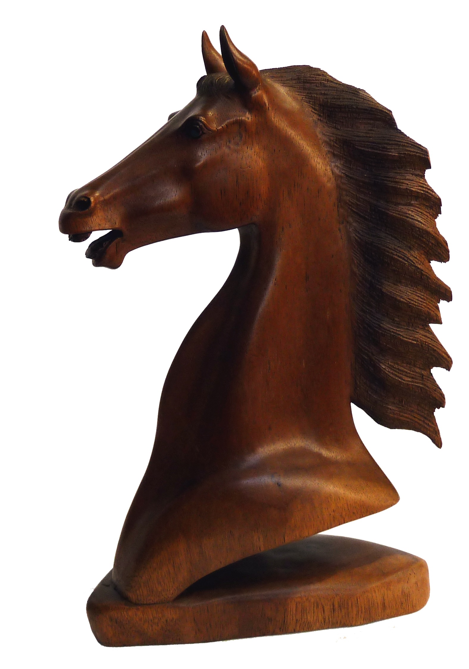 Pferdekopf, Büste mit 38cm--P1080905