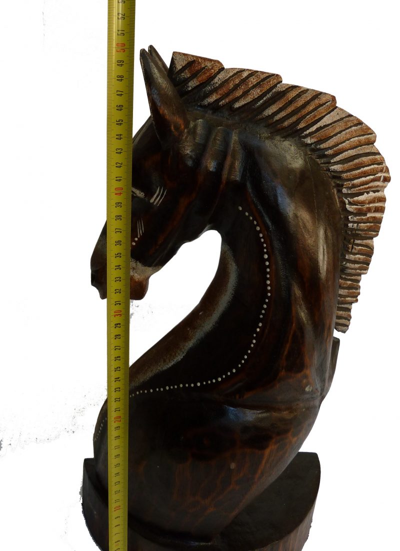 Pferdekopf, Büste mit 50cmn Nr. P1080892